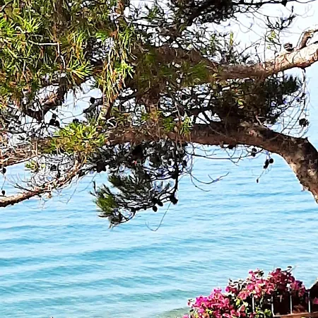 El Balco Del Roc Lägenhet Roda de Bará