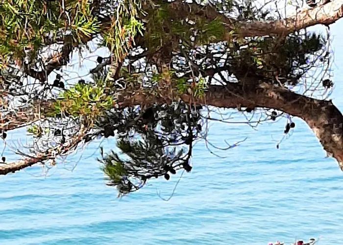 El Balco Del Roc Lägenhet Roda de Bará